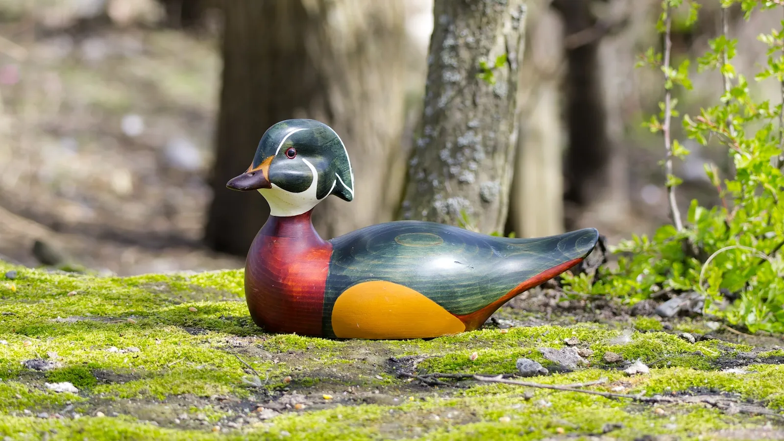 A picture of a decoy wood duck